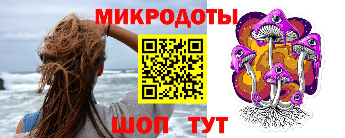 Кировск  Псилоцибиновые грибы Psilocybe  Вход с VPN 