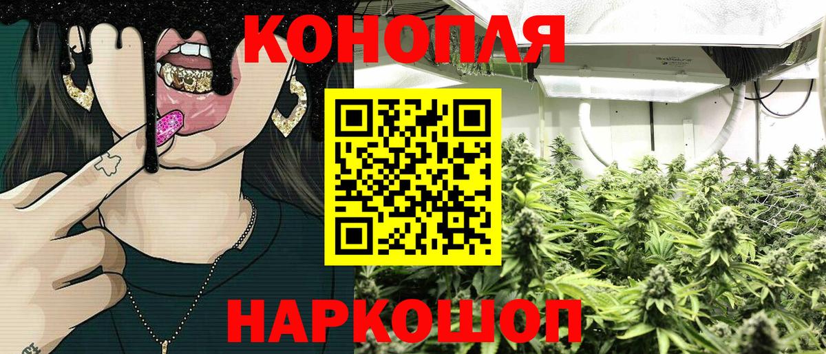Канабис сатива Кировск